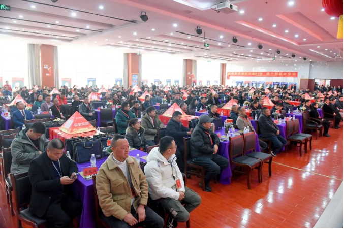 攜手筑夢 贏戰龍年——桂湖集團31周年感恩回饋暨防水新規新品新政交流會圓滿舉行!